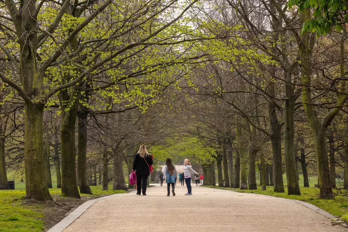 The Avenue in Greenwich Park